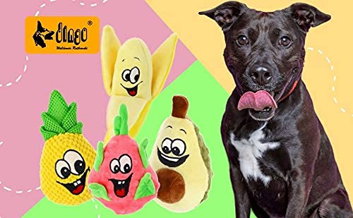 Dingo 16996 - Giocattolo interattivo per cani, 14