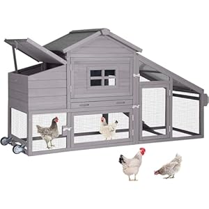 Aivituvin Chicken Coop Mobile Hen Coop, Large Poultry Cage with Wheels Outdoor Backyard Chicken House