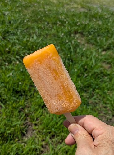 まるで冷凍みかん 山川 みかん アイスキャンディー 10本セット アイスバー 個包装 冷凍配送 お風呂あがりに最適