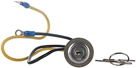 8N3679C 8N 9N Ignition Switch with 2 Wire 2 Position 2 Keys Replacement for Ford 2N 8N 9N 4000 6000 641 NAA 501 600 601 700 701 800 801 900 2000 4000 1939-1964 and Universal Cars,Tractor,Truck Boat