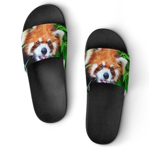 Claquettes femme antidérapantes panda roux pour éviter les glissades en salle de bain