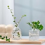 Mapoxy Glass Bud Vases Set of 4,Small Flower Vases for Wedding Centerpiece Table Decorations,Clear Vintage Embossed Mini Vases,Flower Arrangements in Vases for Party or Home Decor - Image 3