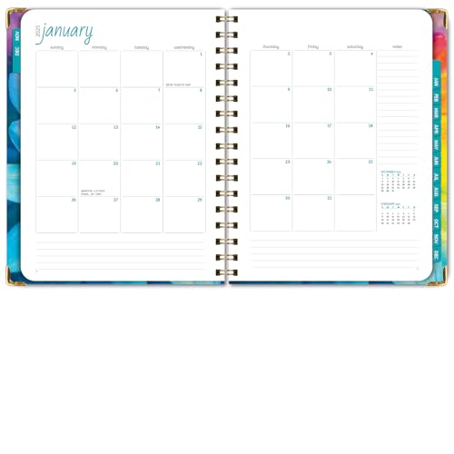 HARDCOVER 2025 Planner, 7"x9": 14 Months (November 2024 - December 2025), Daily Weekly Monthly Planner, Yearly Agenda, Bookmark, Pocket Folder and Sticky Note Set (Rainbow Petals)