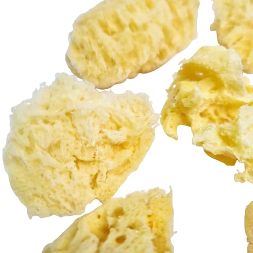 Set 7 Spugne Naturali Per Pittura - Arte, Artigianato, Ceramica, Texture, Dimensioni 4.8cm, Riutilizzabili - Foto 6