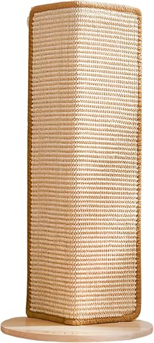 �R�[�i�[ �L �܂Ƃ� �� �c�^ �߂Ƃ� �L �|�[�� �܌��� ��, �L �Ƃ��������łȂ��܂Ƃ� �V�R�؍� �ϖ��� ��v�Œ����� �\�t�@ �ی� ������ �l�R �܌��� �� (62cm)