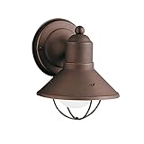 Kichler Seaside 7.5' 1 Light Outdoor Wall Light with Glass Globe Olde Bronze®