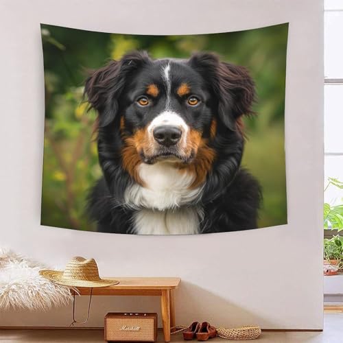 Tapisserie murale Springer Spaniel pour décoration de dortoir
