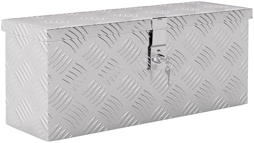 Tin De Trésorerie Avec Boîte à Caisse En Métal Clé Avec Verrouillage 4.5x3.4x2.3 Pouces Banque De Pièce Avec Poignée De Levage Et Boîte à Sous De Monnaie Pour Les Adultes Cadeaux Pour