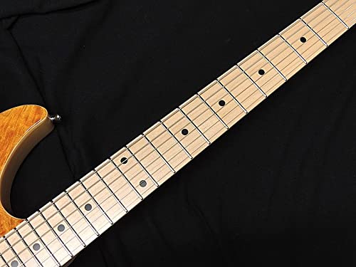 Amazon.co.jp: SCHECTER SD-2-24-VTR-AS-MW AMB/M Shecter
