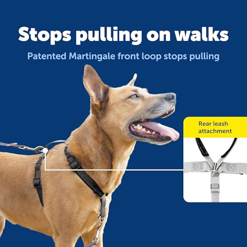 PetSafe Easy Walk 3 in 1 Harness with Two Point Control Leash, Black, Large - image 3