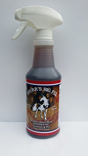 Spurrs Big Fix WSH16 (C)Spurrs 16oz Wound Skin Hoof Spray(6)