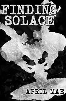 Paperback Finding Solace: A Domestic Noir Crime/Psychological Thriller Book
