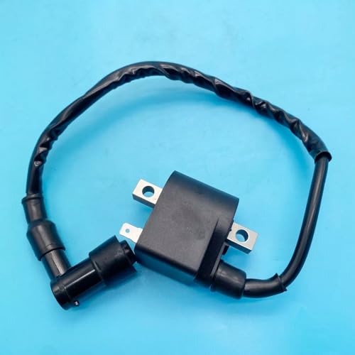 Bobina de encendido para Suzuki LT 50 LT50 LTA50 repuesto de encendido para mini quad bike 2X4