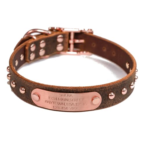 Handmade Studded Bridle Leather Dog Collar, Copper/Rose Gold Hardware and Solid Copper Nameplate (Distressed Brown)