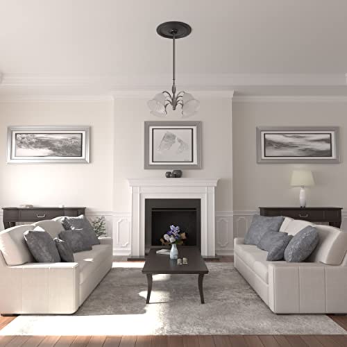 Image of Ekena Millwork CM24DISGS Diane Ceiling Medallion, 24 inchOD x 3 5 /8 inchID x 1 1 /4 inchP (Fits Canopies up to 6 1 /4 inch), Hand-Painted Steel Gray