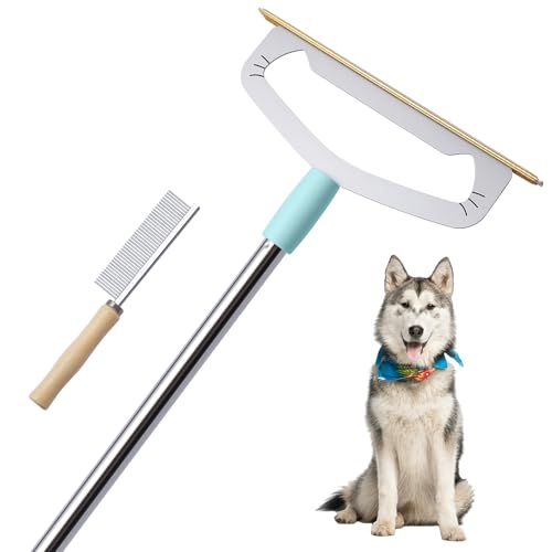 What is the best broom for dog hair