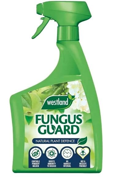 800ml, Fungus Guard Spray, Powerful Anti Fungal Treatment for Plants, Lawns, and Garden Surfaces, Protects Against Mould, Mildew, and Fungal Diseases, Ready to Use Formula