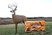 Field Logic GlenDel Crossbow Buck 3D Archery Target with Replaceable Core