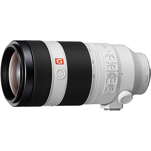 Image of Sony FE 100-400mm F4.5-5.6 GM OSS Telephoto Zoom Lens (SEL100400GM) Optical SteadyShot | Full-Frame E-Mount | Filter Kit, Cap Keeper, Cleaning Kit, and More