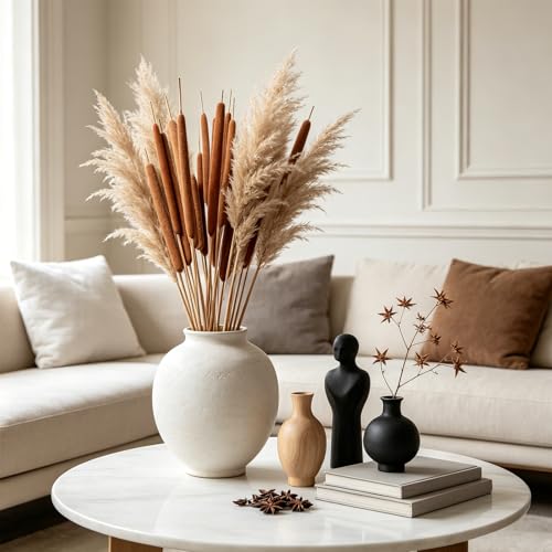 Flores Secas de Cattail Natural Pack 10 Unidades miniatura 4