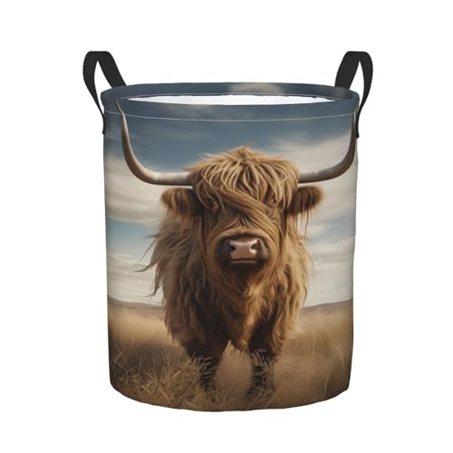 Image of Foruidea Highland Cow Laundry Basket,Laundry Hamper,Collapsible Storage Bin, Oxford Fabric Clothes Baskets,Nursery Hamper For Home,Office,Dorm,Gift Basket