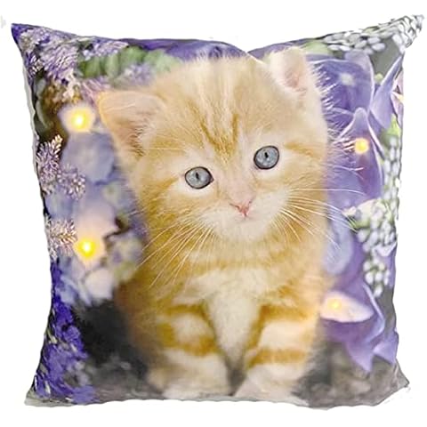 alottagifts Kittens Cat Orange Lights Up Square Unique Printed Lovely Cat Pattern Throw Pillow Case Cushion Cover 18 X 18 Inches Cover