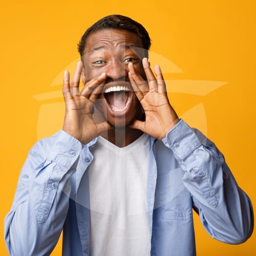 Besitzer oder Botschafter