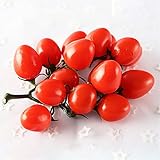 Este tomate de vid artificial de calidad con un toque realista, aspecto y sensación es tan realista como lo real. Este grupo de tomate no debe compararse con las imitaciones de plástico baratas en el mercado, son similares a la vida.