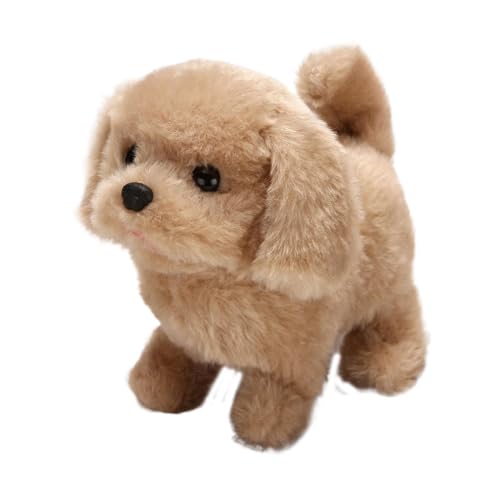 dq̌Ai錢̂, | C^NeBuȎq̂ʂ݁AEH[LOdq@\EH[LOAiAKU@\zf[ap