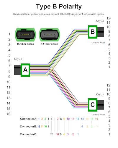 Image of OM4 MPO Breakout Cable, 16F APC to 2 x 12F APC, Type B, 10 m | LSZH jacket, 40G /100G /400G, Individually Tested, QSFP-DD /QSFP28, data center parallel optics