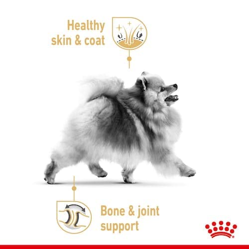 Royal Canin Pomeranian Adult | 4er Pack | 4 x 12 x 85 g | Alleinfuttermittel für Hunde | Für ausgewachsene und ältere Zwergspitze | Ab dem 8. Monat | Angepassten Mineralstoffgehalt