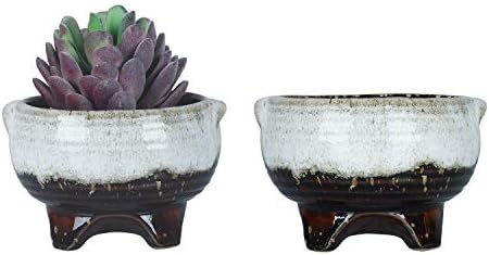 Ceramic Succulent Plant Pots Small Cactus Pots, 10CM Glazed Flower Plant Container with Drainage Home Garden Decoration Pack of 5