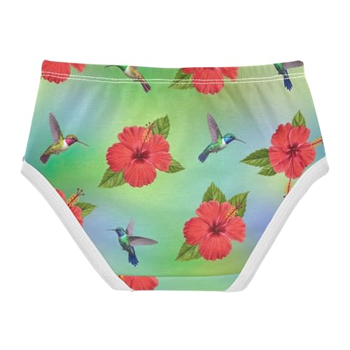 Flower Toddler Girls Underwear 2t Cotton Panties Little Girl Red Flowers Cute Hummingbirds Underpants Briefs2