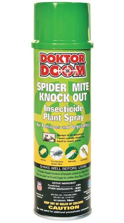 Spider Mite Knock Out