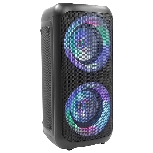 BoomTone DJ Traveler 400 Enceinte sur Batterie, idéale pour Les DJ Mobiles et Les fêtes privées,...