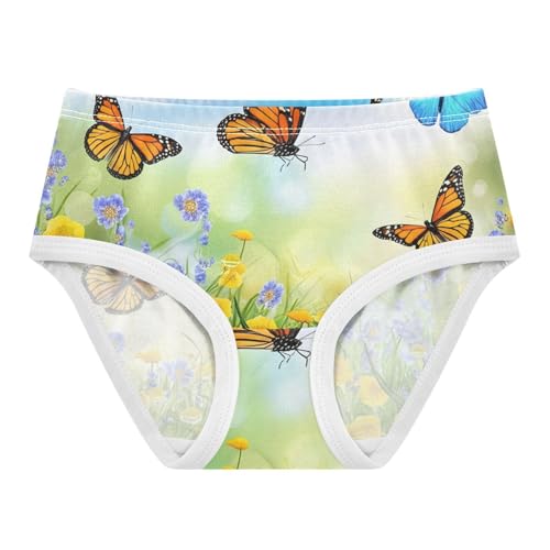 Toddler Underwear Floral 2t Cotton Panties for Girl Bright Briefs Kids Undies Vibrant Spring Flowers Butterflies