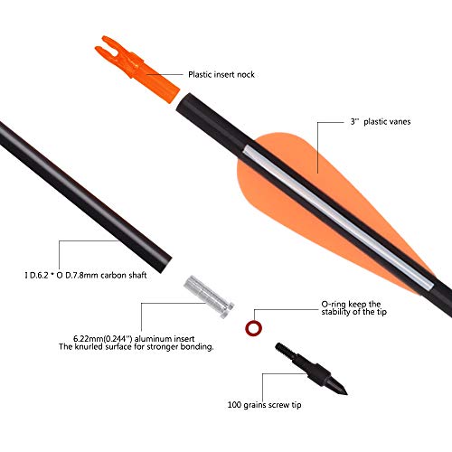 image for Archery World 26Inch Carbon Arrow Practice Hunting Arrows Targeting wi