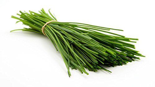 Indica Super Agri Green Garden Garlic Chives Culinary herb 50 Seeds*3pkts (B01B41THRU) Amazon Price History, Amazon Price Tracker
