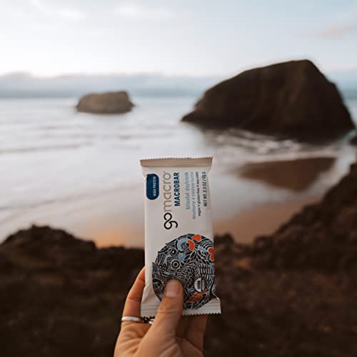 Gomacro Macrobar Organic Vegan Protein Bars - Blueberry + Cashew Butter (2.3 Ounce Bars (Pack Of 12) #TOP3