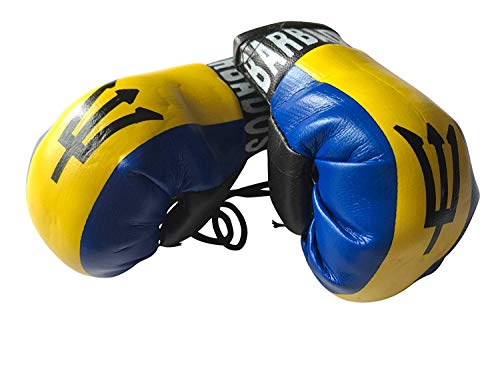 Flag Mini Small Boxing Gloves to Hang Over Car Automobile Mirror - Americas (Country: Barbados-1)