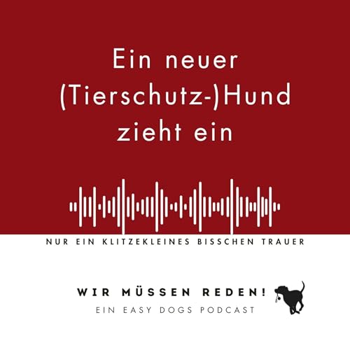 EIN NEUER (TIERSCHUTZ-)HUND ZIEHT EIN mit Lily Zrost Titelbild