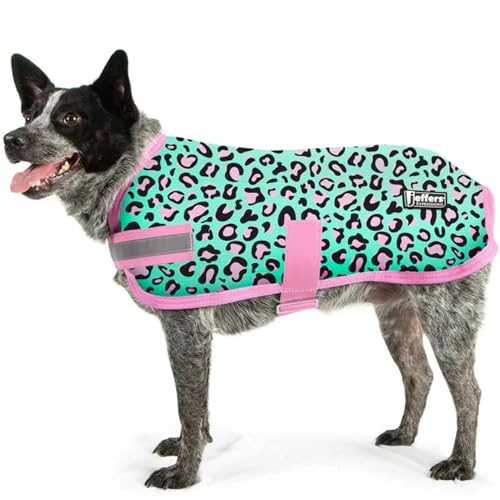 Jeffers Expression Dog Blanket, Party Cheetah, 28