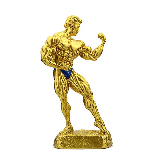 Inicio Decoraciones, Culturismo Sr. Trofeo Premio De La Copa, Láser Libre Letras, Coleccionables Y Los Regalos, 15.7Inch Cover