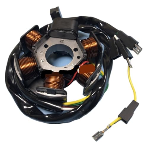 Alternateur stable pour RS 50, plaque magnétique performance AM6
