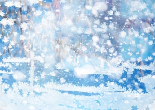 Fond hiver froid cristaux de glace bleu bokeh pour studio photo 4.6x2.5m