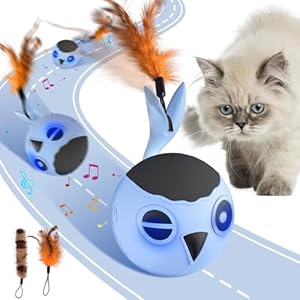 GoldenSun Interactive Cat Toys for Indoor Cats Adult, Automatic Cat Toy With Feather Tail, Cats Ball Toy for Indoor Kitten, 4 Mode Motion Touch Activation,Multiple Chirps Stimulate,USB Charging,Blue