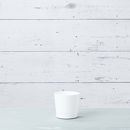 Novelty Majestic Full Depth Round Cylinder Pot, Glossy White, 6-Inch (10062) by Root & Vessel - Used condition - Image 3