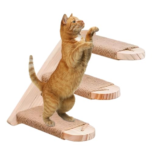 ǗpLNC~OXebvAǃt[eBOVFt - ȔL̊Ki,L̊KiLoAVԁAxe邽߂̏ȃXy[XLpKiƃXebv