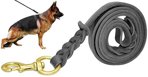 gsd leash