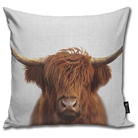 Highland cow colorful Home Decorative Throw Pillow Case Cushion Cover for Gift Home Couch Bed Car 18" x18" Cover